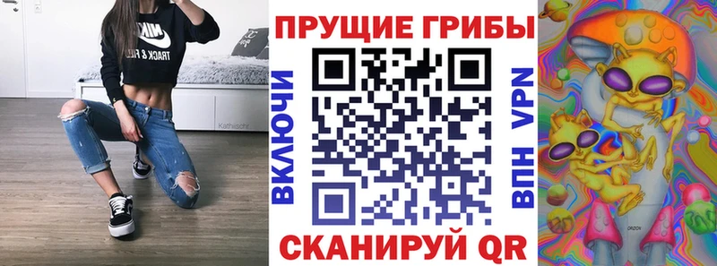 Галлюциногенные грибы Cubensis  цены   Карабулак 